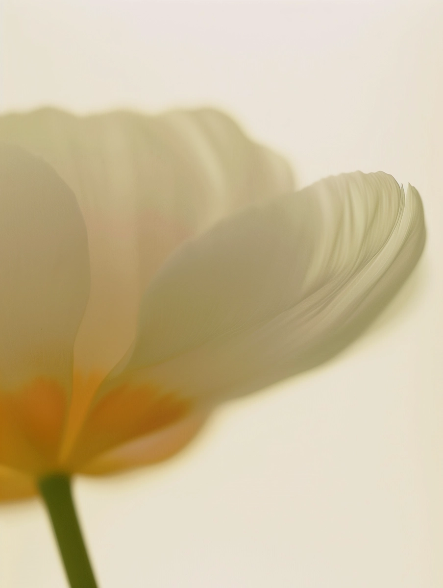 Composição floral 1