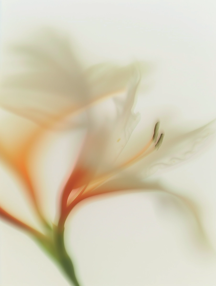 Composição floral 2