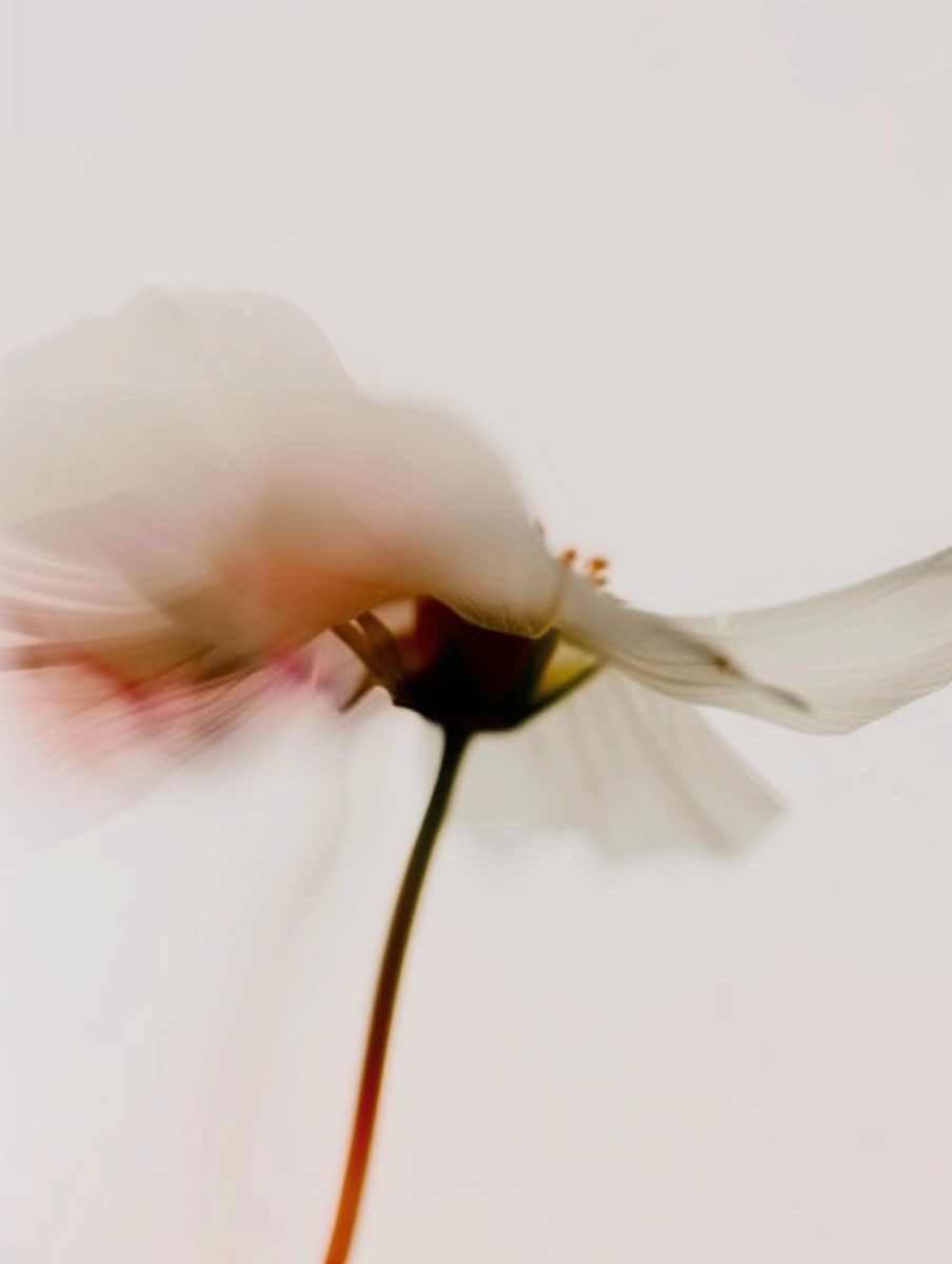 Composição floral 6