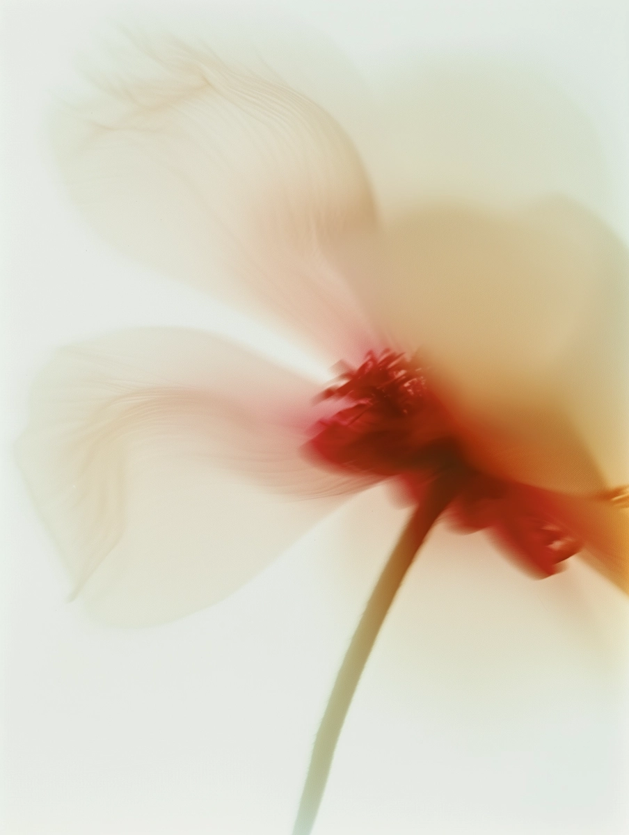Flor em tons claros