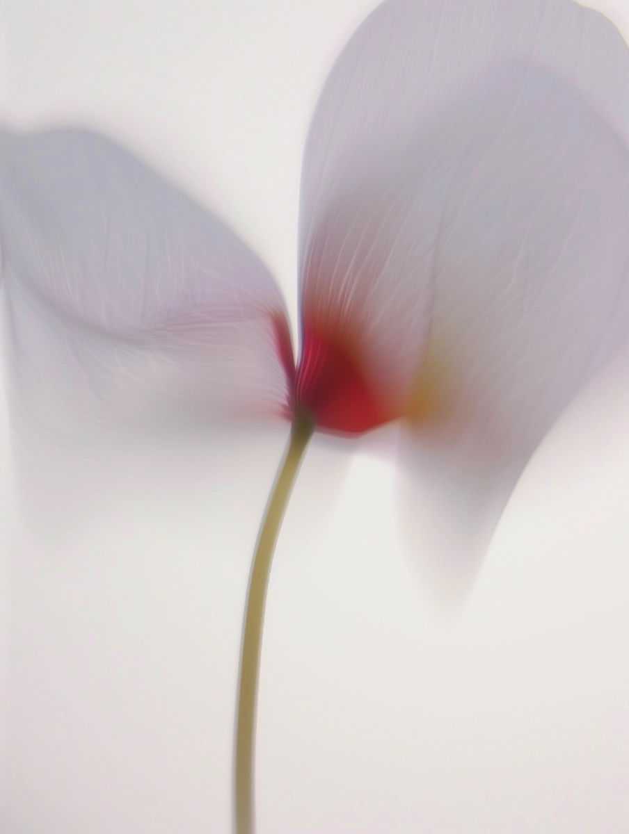 Composição floral 10