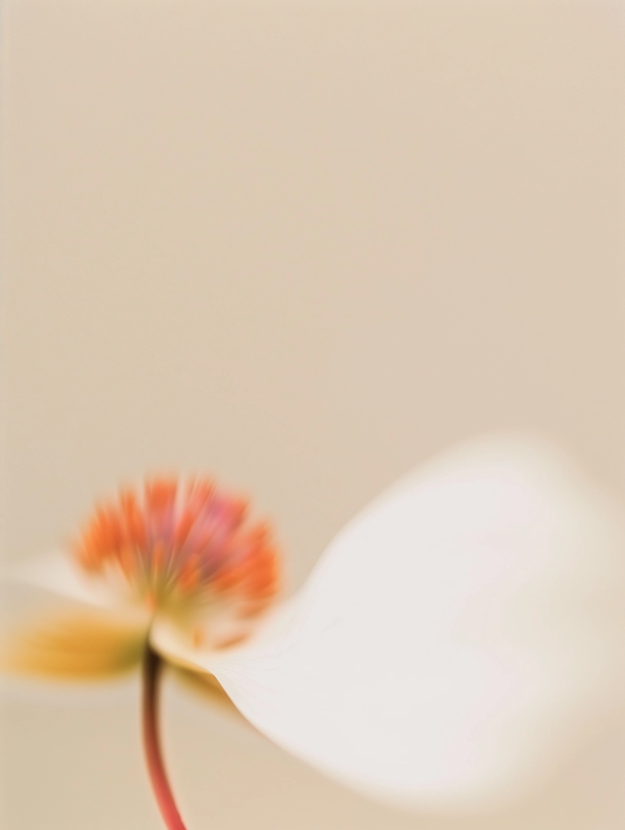 Composição floral 11